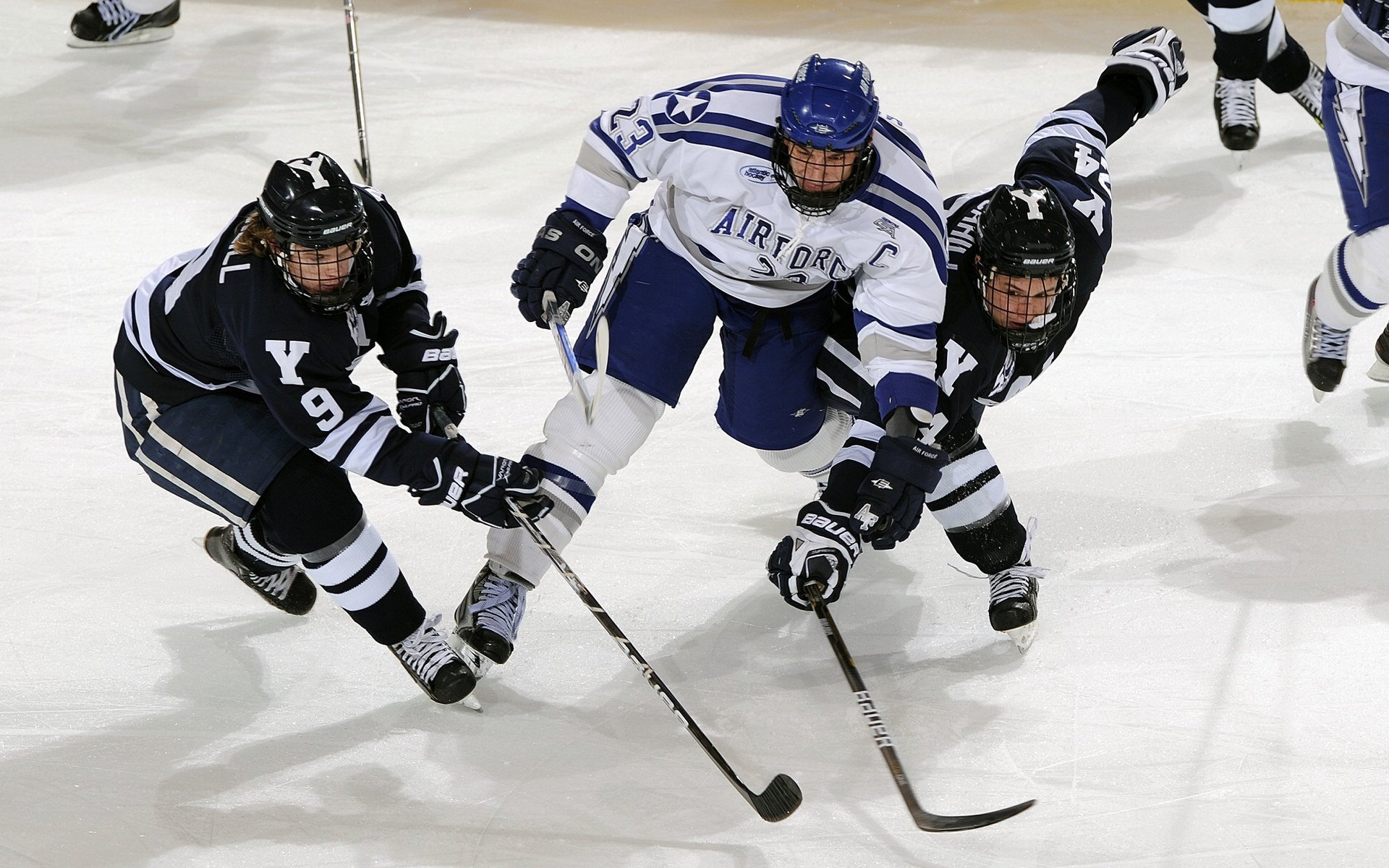 世界杯赛场医护支持体系揭秘，世界卫生组织医护比